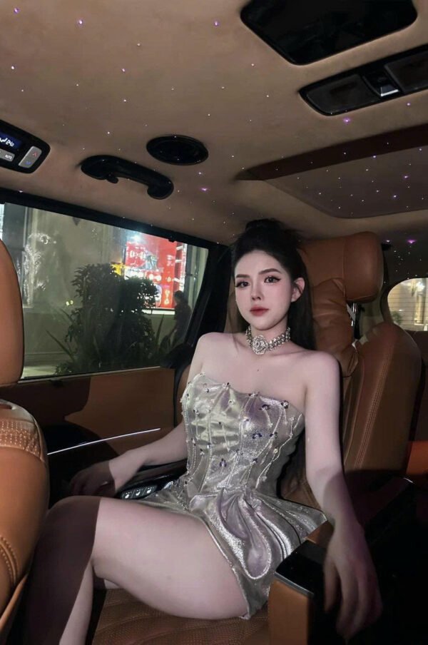 Đầm Thiết Kế Dự Tiệc - Hình ảnh 6